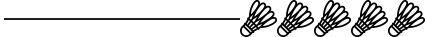 Decorative underline